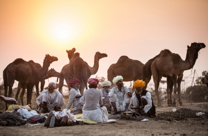 Royal Tent Pushkar- Pushkar Fair